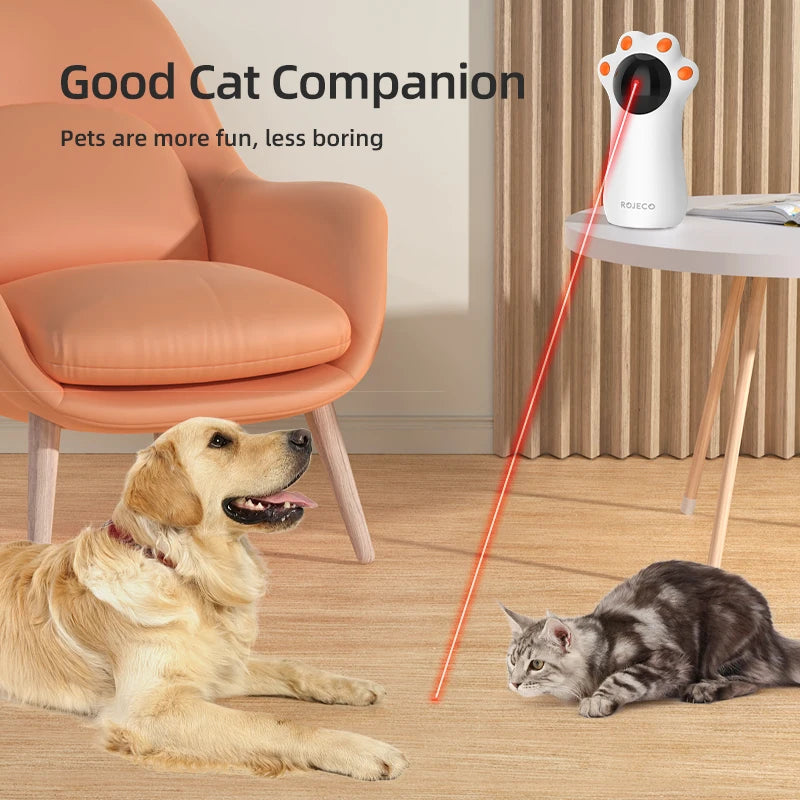 Interactive Cat Laser Fun