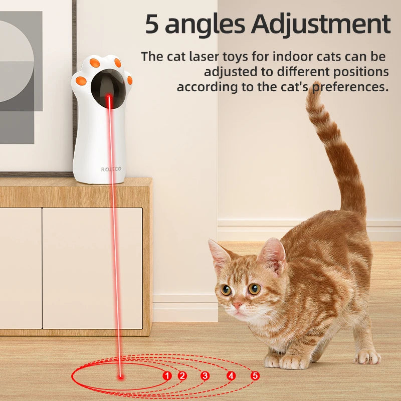 Interactive Cat Laser Fun