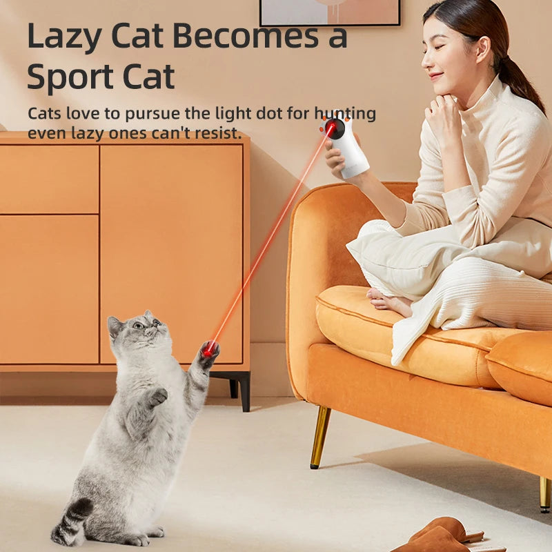 Interactive Cat Laser Fun