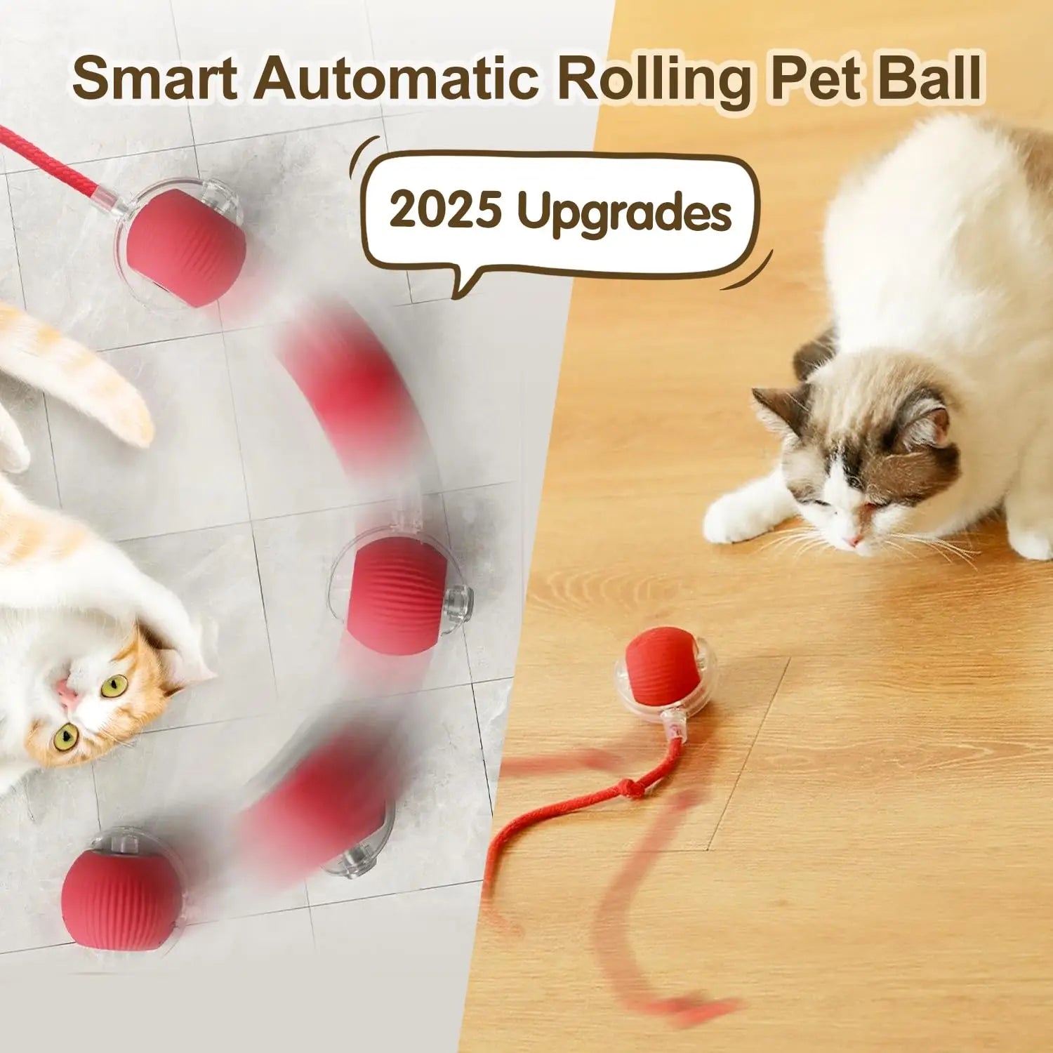 Smart Cat Chase Ball