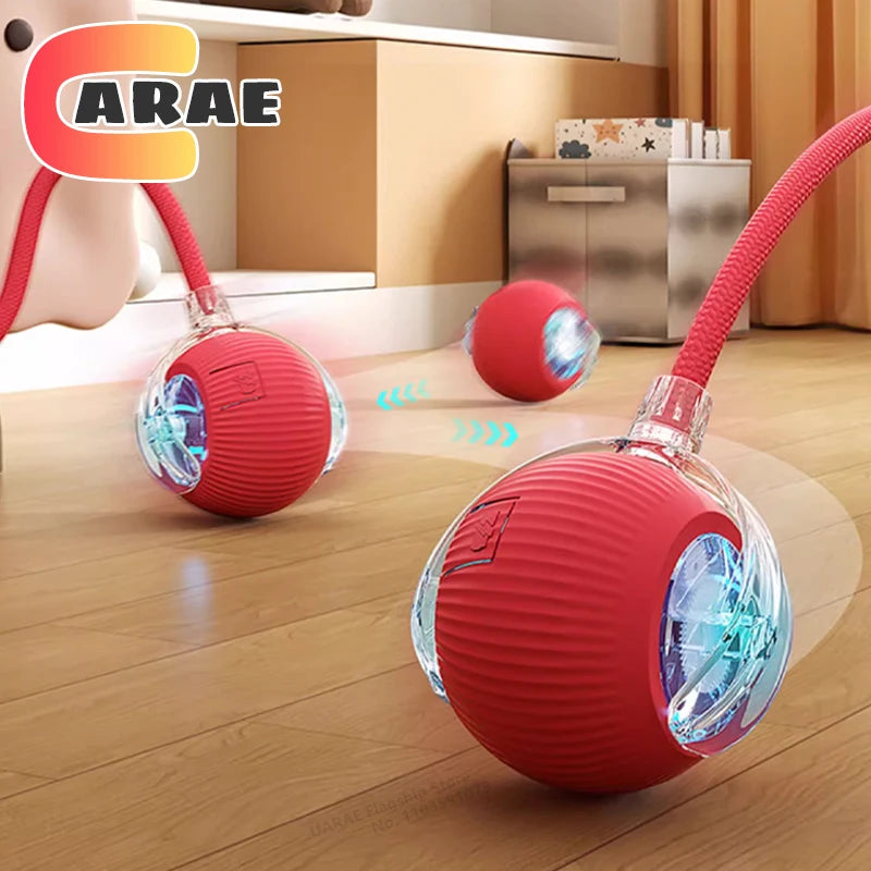 Smart Cat Chase Ball