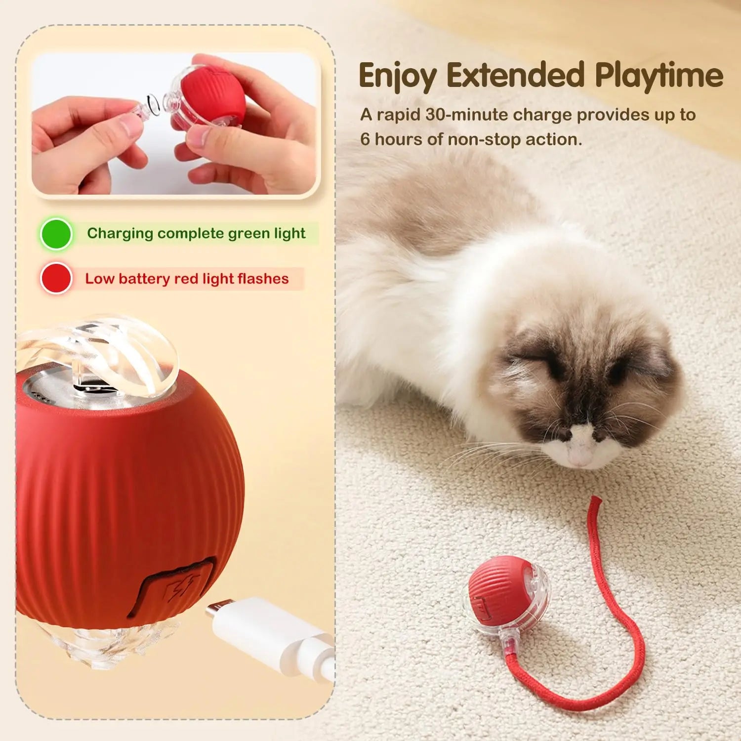 Smart Cat Chase Ball